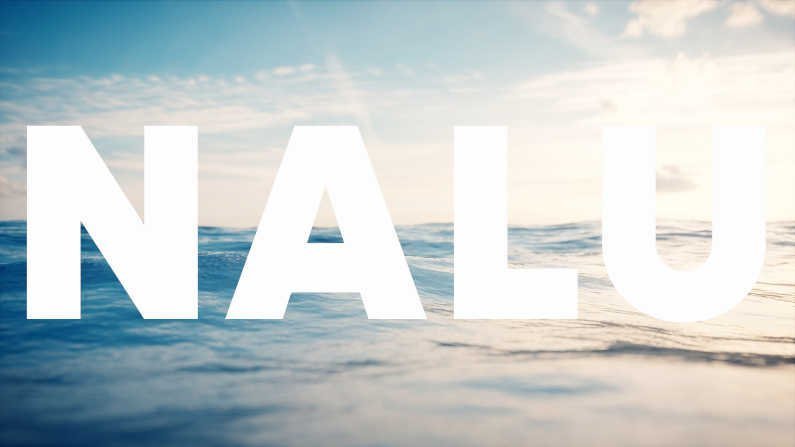 What does the name ‘Nalu’ mean?