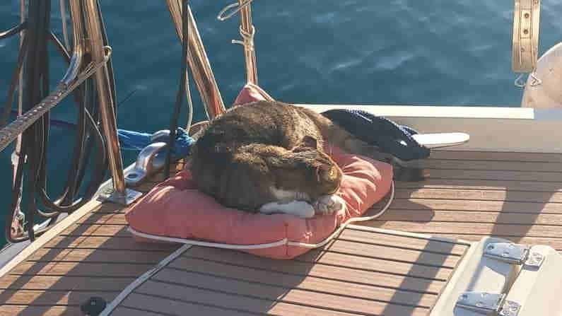 Two Captains, One Boat – How Is This Going To Work?